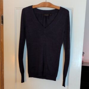 The Limited Women's V-Neck Sweater in Dark Purple